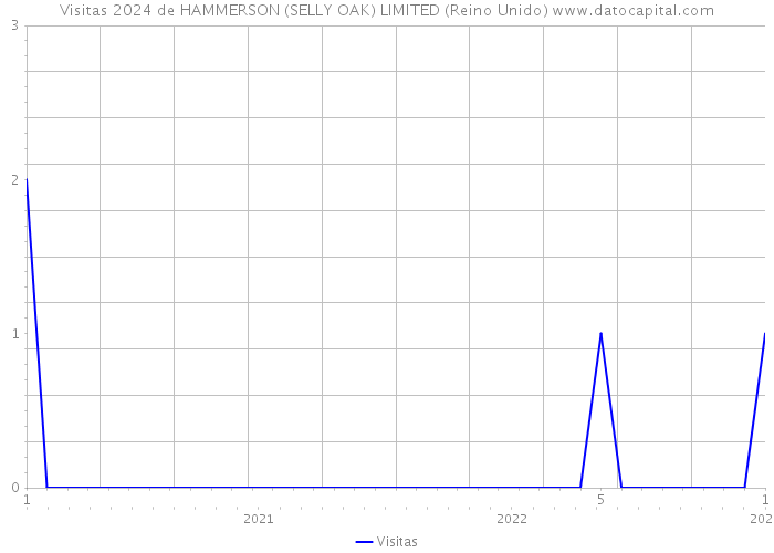 Visitas 2024 de HAMMERSON (SELLY OAK) LIMITED (Reino Unido) 