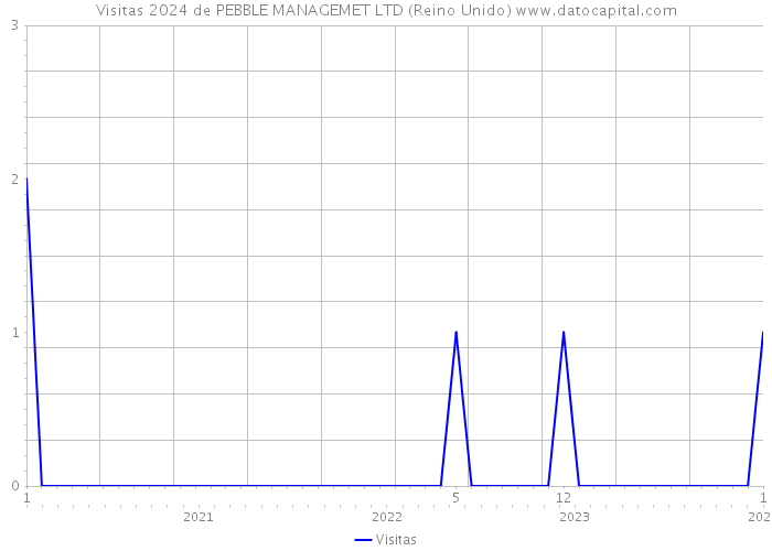 Visitas 2024 de PEBBLE MANAGEMET LTD (Reino Unido) 