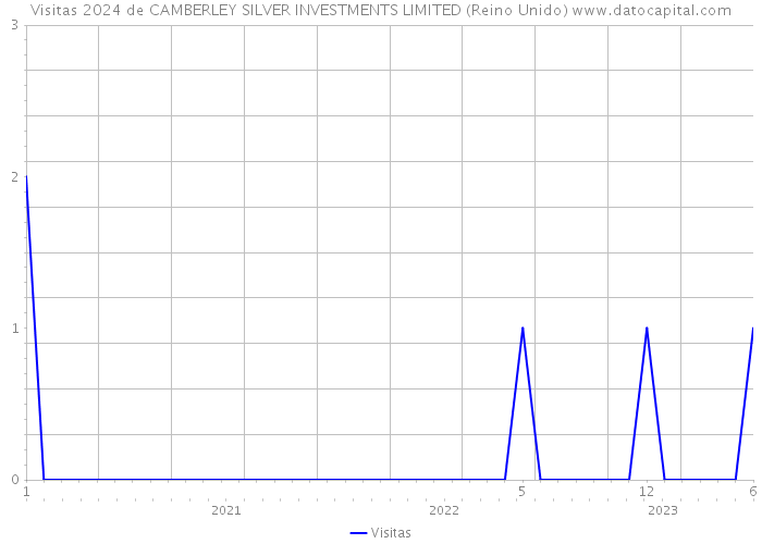 Visitas 2024 de CAMBERLEY SILVER INVESTMENTS LIMITED (Reino Unido) 