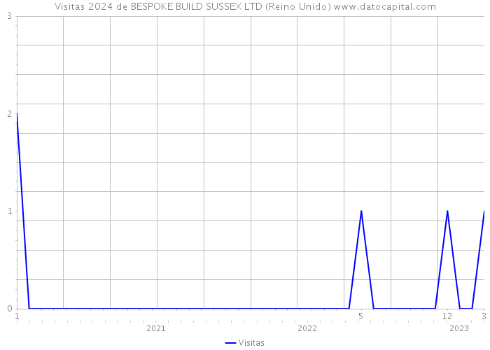 Visitas 2024 de BESPOKE BUILD SUSSEX LTD (Reino Unido) 