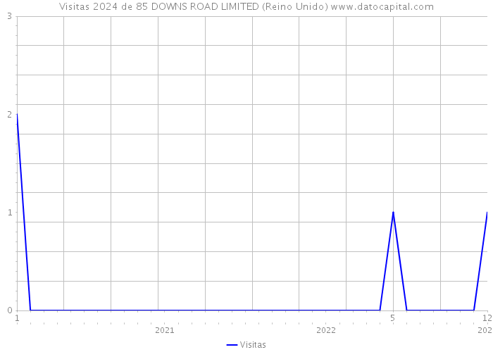 Visitas 2024 de 85 DOWNS ROAD LIMITED (Reino Unido) 