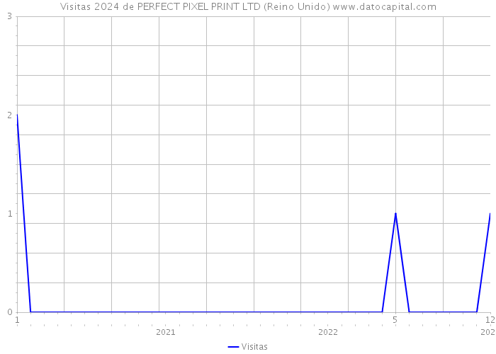 Visitas 2024 de PERFECT PIXEL PRINT LTD (Reino Unido) 