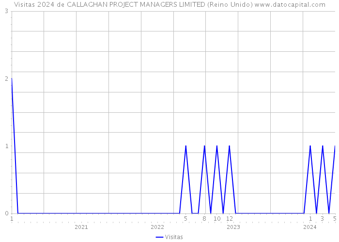 Visitas 2024 de CALLAGHAN PROJECT MANAGERS LIMITED (Reino Unido) 