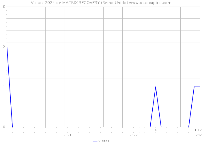 Visitas 2024 de MATRIX RECOVERY (Reino Unido) 