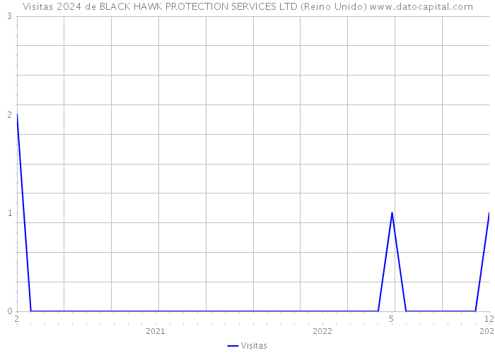 Visitas 2024 de BLACK HAWK PROTECTION SERVICES LTD (Reino Unido) 