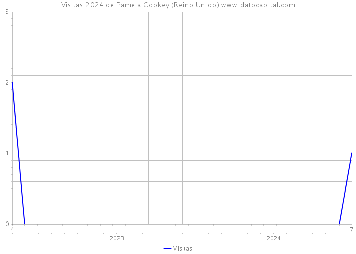 Visitas 2024 de Pamela Cookey (Reino Unido) 