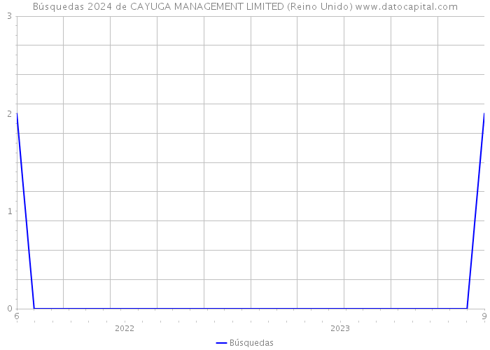 Búsquedas 2024 de CAYUGA MANAGEMENT LIMITED (Reino Unido) 