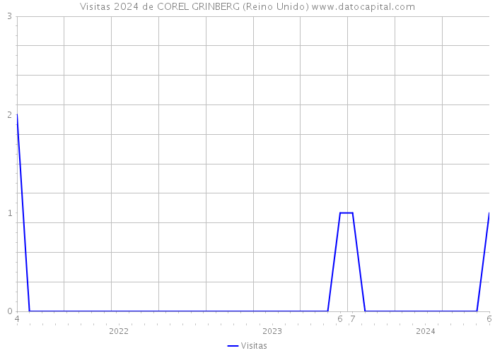 Visitas 2024 de COREL GRINBERG (Reino Unido) 