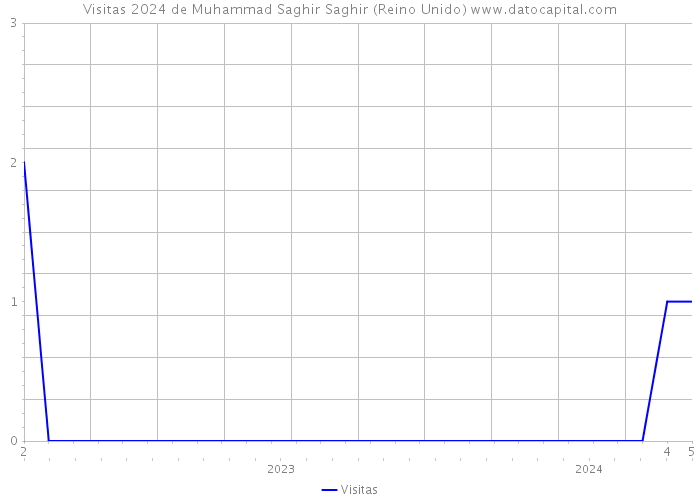 Visitas 2024 de Muhammad Saghir Saghir (Reino Unido) 