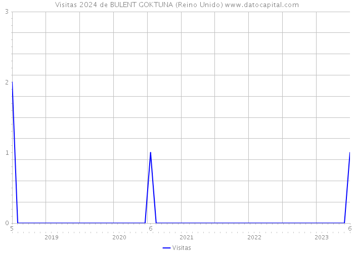 Visitas 2024 de BULENT GOKTUNA (Reino Unido) 