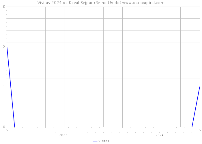 Visitas 2024 de Keval Sejpar (Reino Unido) 