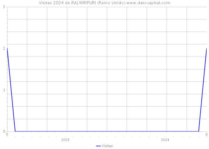 Visitas 2024 de RAJ MIRPURI (Reino Unido) 