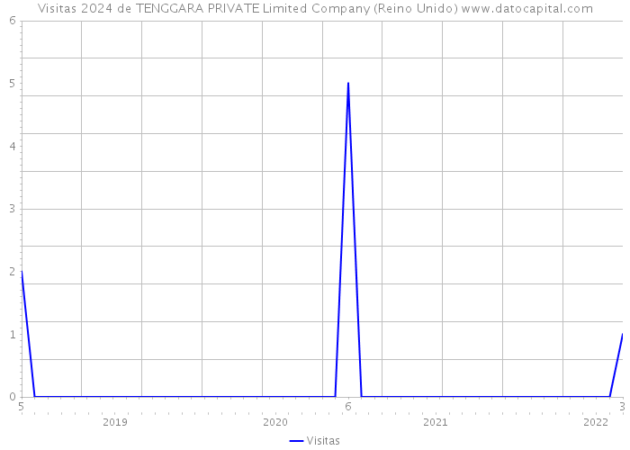 Visitas 2024 de TENGGARA PRIVATE Limited Company (Reino Unido) 