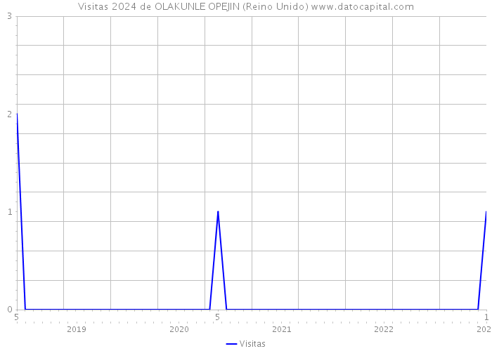 Visitas 2024 de OLAKUNLE OPEJIN (Reino Unido) 