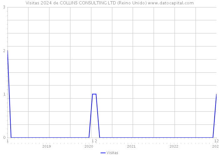 Visitas 2024 de COLLINS CONSULTING LTD (Reino Unido) 