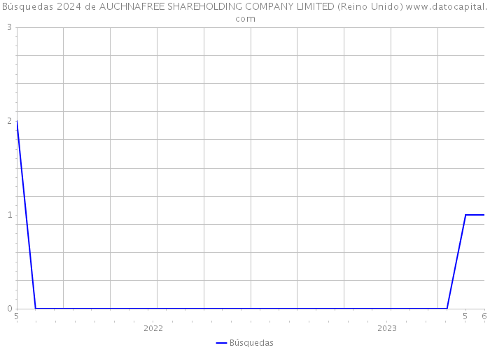 Búsquedas 2024 de AUCHNAFREE SHAREHOLDING COMPANY LIMITED (Reino Unido) 