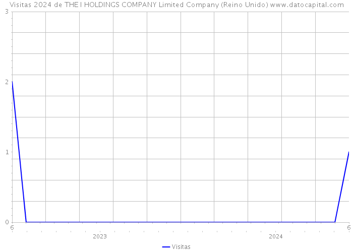 Visitas 2024 de THE I HOLDINGS COMPANY Limited Company (Reino Unido) 