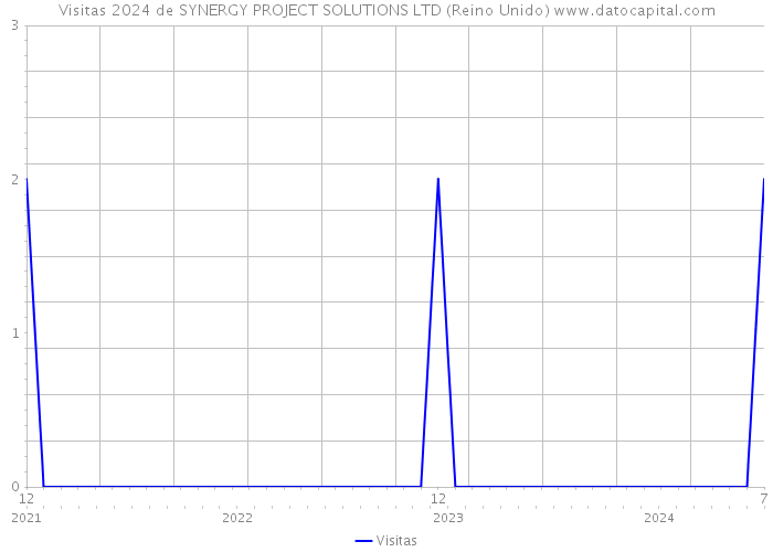 Visitas 2024 de SYNERGY PROJECT SOLUTIONS LTD (Reino Unido) 