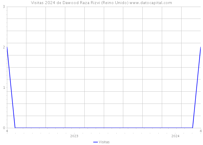 Visitas 2024 de Dawood Raza Rizvi (Reino Unido) 