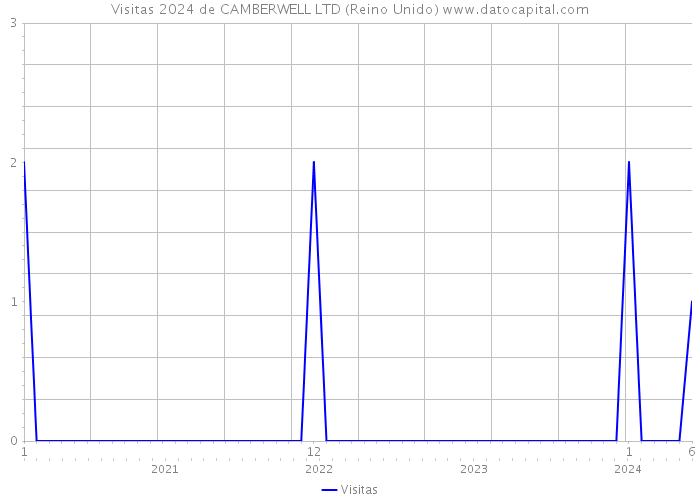 Visitas 2024 de CAMBERWELL LTD (Reino Unido) 