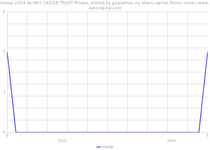Visitas 2024 de HAY CASTLE TRUST Private, limited by guarantee, no share capital (Reino Unido) 