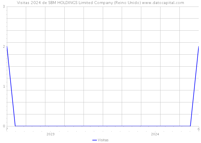 Visitas 2024 de SBM HOLDINGS Limited Company (Reino Unido) 