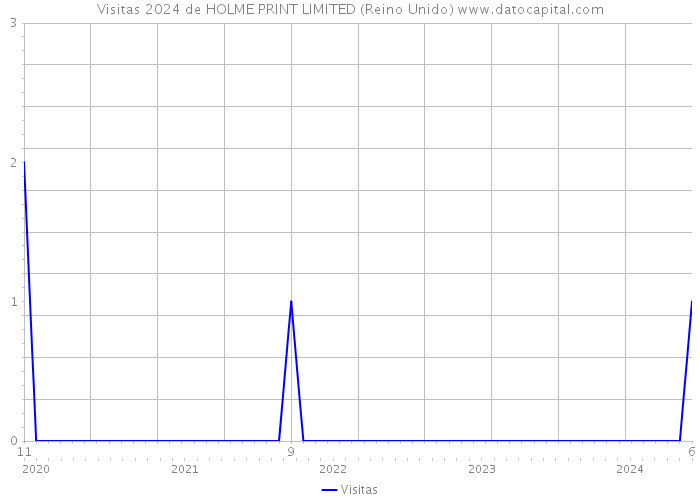 Visitas 2024 de HOLME PRINT LIMITED (Reino Unido) 