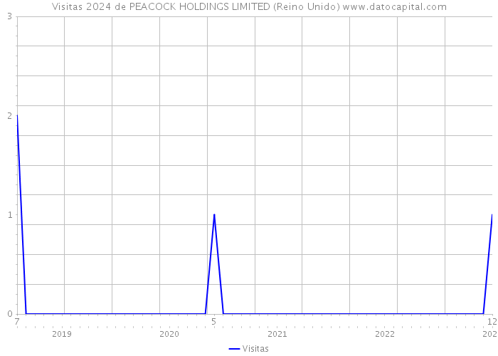 Visitas 2024 de PEACOCK HOLDINGS LIMITED (Reino Unido) 