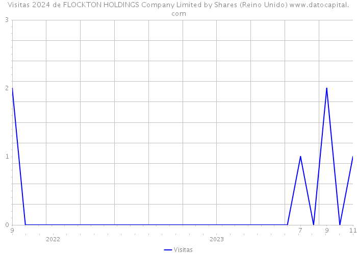 Visitas 2024 de FLOCKTON HOLDINGS Company Limited by Shares (Reino Unido) 