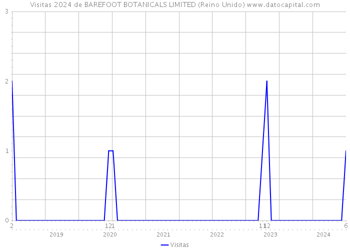 Visitas 2024 de BAREFOOT BOTANICALS LIMITED (Reino Unido) 