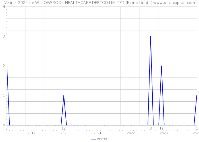 Visitas 2024 de WILLOWBROOK HEALTHCARE DEBTCO LIMITED (Reino Unido) 