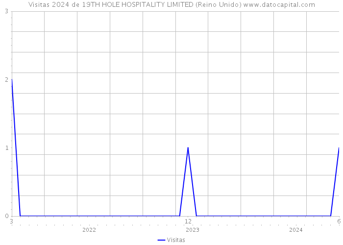 Visitas 2024 de 19TH HOLE HOSPITALITY LIMITED (Reino Unido) 