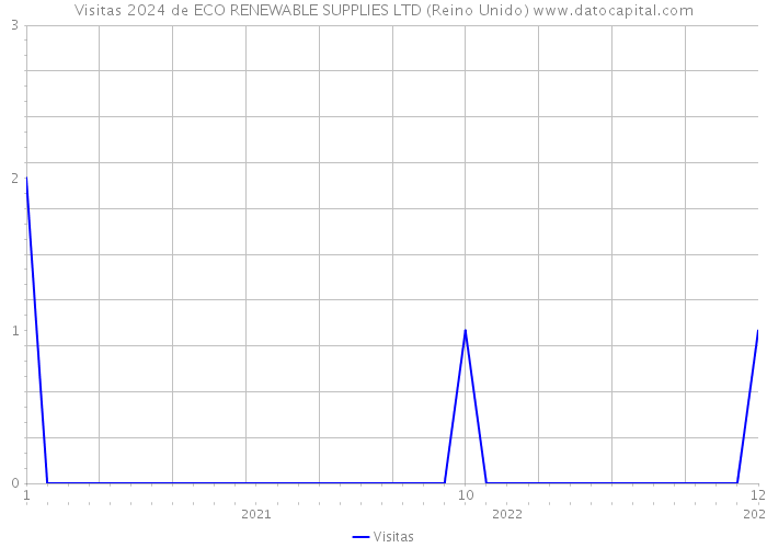 Visitas 2024 de ECO RENEWABLE SUPPLIES LTD (Reino Unido) 