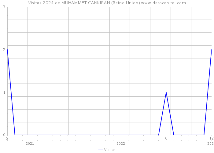 Visitas 2024 de MUHAMMET CANKIRAN (Reino Unido) 