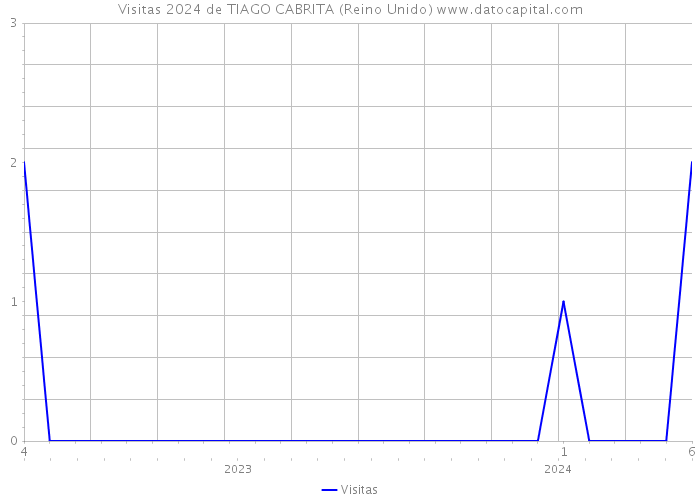 Visitas 2024 de TIAGO CABRITA (Reino Unido) 