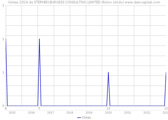 Visitas 2024 de STEPHEN BURGESS CONSULTING LIMITED (Reino Unido) 