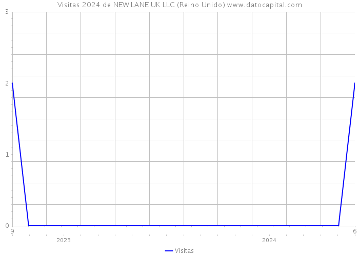 Visitas 2024 de NEW LANE UK LLC (Reino Unido) 