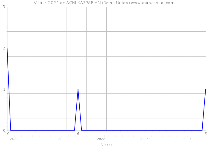 Visitas 2024 de AGNI KASPARIAN (Reino Unido) 