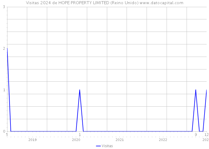 Visitas 2024 de HOPE PROPERTY LIMITED (Reino Unido) 