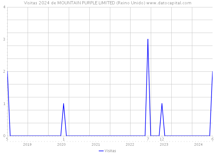 Visitas 2024 de MOUNTAIN PURPLE LIMITED (Reino Unido) 