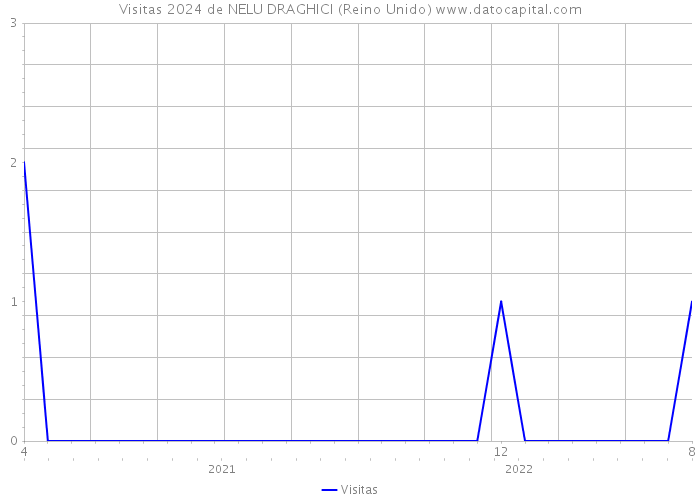 Visitas 2024 de NELU DRAGHICI (Reino Unido) 