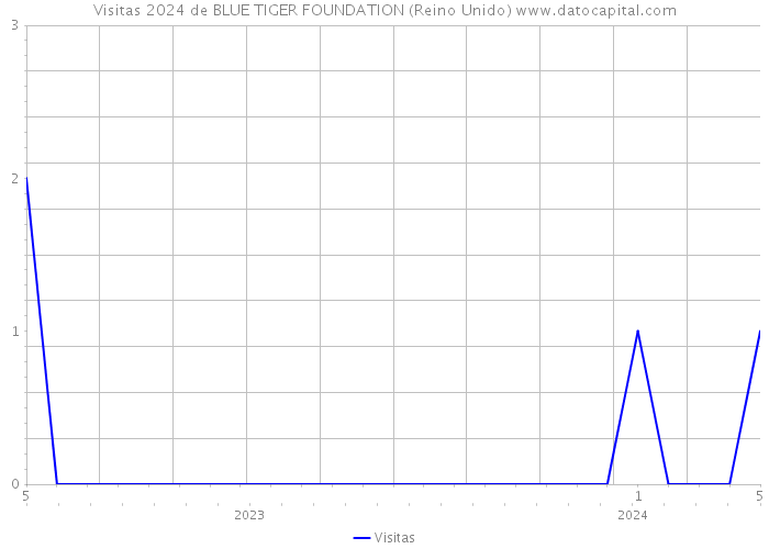 Visitas 2024 de BLUE TIGER FOUNDATION (Reino Unido) 