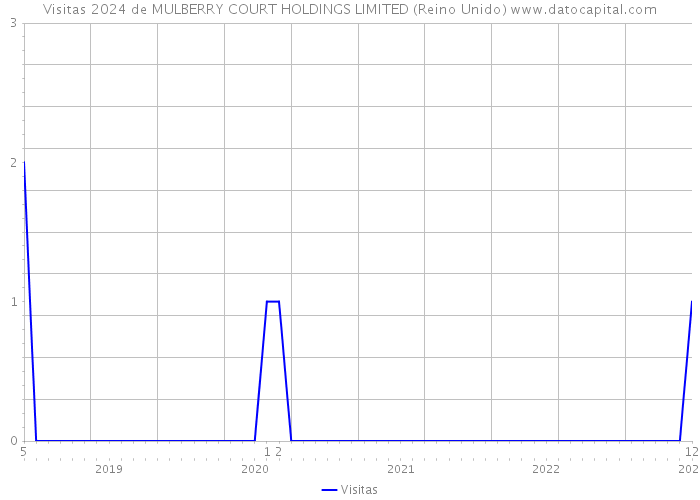 Visitas 2024 de MULBERRY COURT HOLDINGS LIMITED (Reino Unido) 