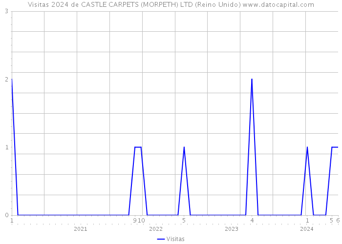 Visitas 2024 de CASTLE CARPETS (MORPETH) LTD (Reino Unido) 