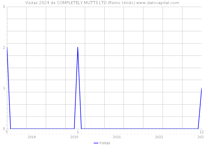 Visitas 2024 de COMPLETELY MUTTS LTD (Reino Unido) 