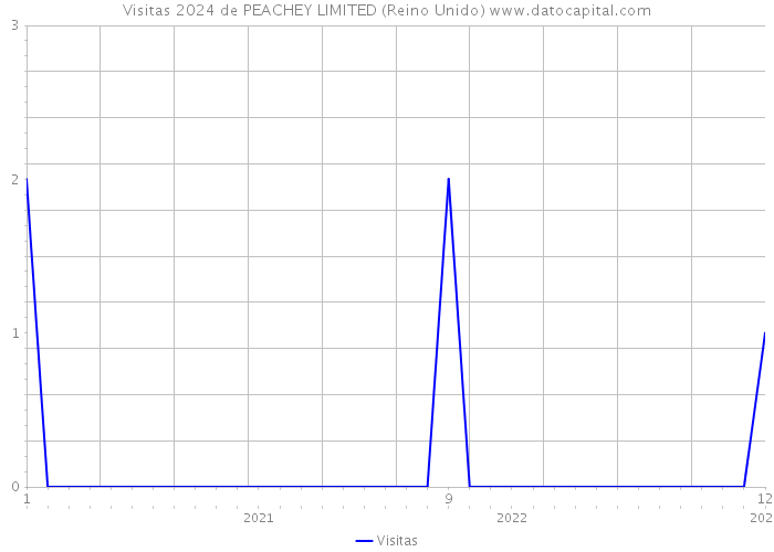 Visitas 2024 de PEACHEY LIMITED (Reino Unido) 