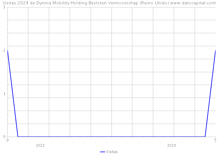 Visitas 2024 de Dynniq Mobility Holding Besloten Vennootschap (Reino Unido) 