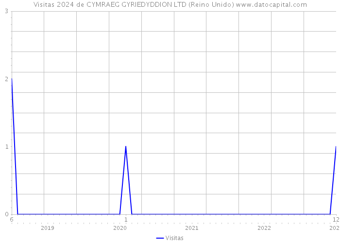 Visitas 2024 de CYMRAEG GYRIEDYDDION LTD (Reino Unido) 