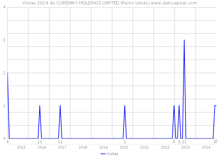 Visitas 2024 de GOREWAY HOLDINGS LIMITED (Reino Unido) 