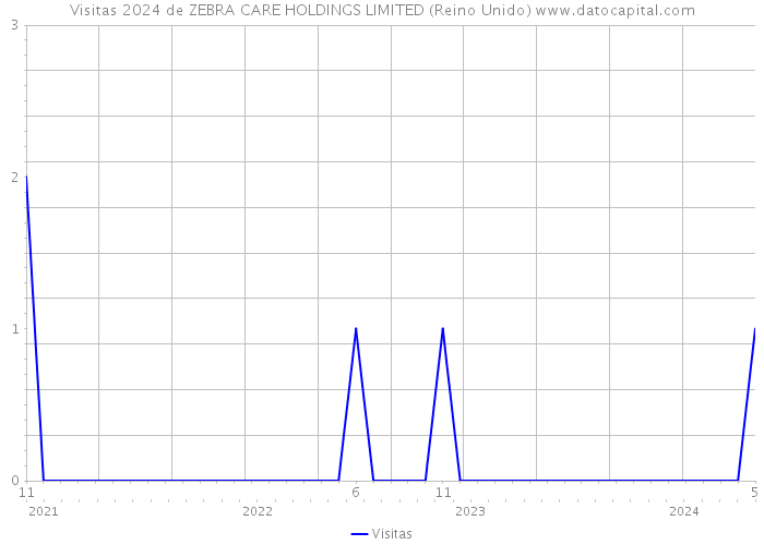 Visitas 2024 de ZEBRA CARE HOLDINGS LIMITED (Reino Unido) 